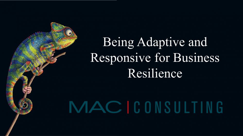 Part 1 of 3: Being adaptive and responsive for business resilience