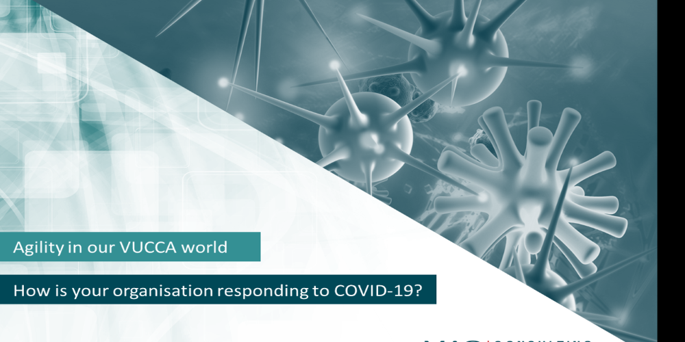 AGILITY DURING THE COVID-19 CRISIS