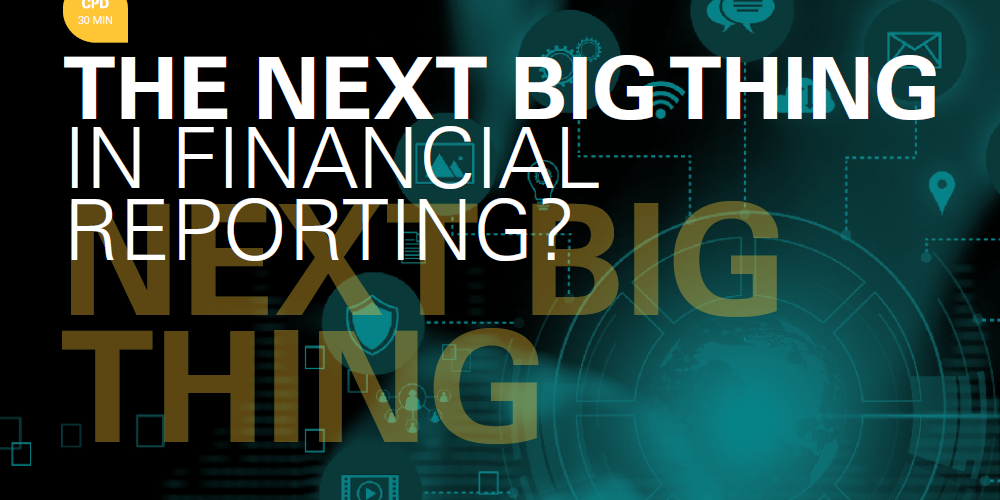 THE NEXT BIG THING IN FINANCIAL REPORTING?