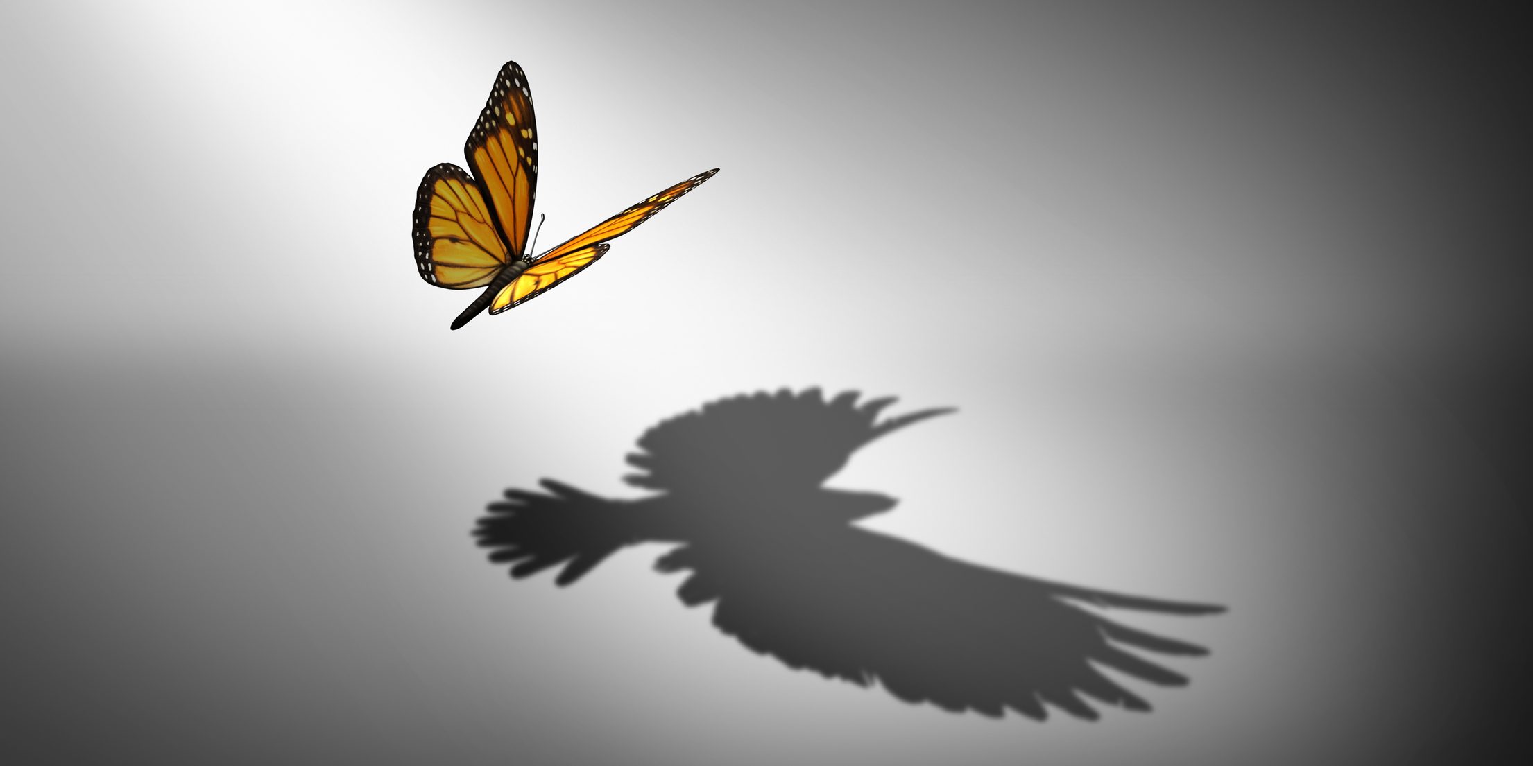 Aspiration for change and ambition for improvement and success as a metaphor for growth and transformation as a butterfly casting a shadow of a flying bird with 3D illustration elements.