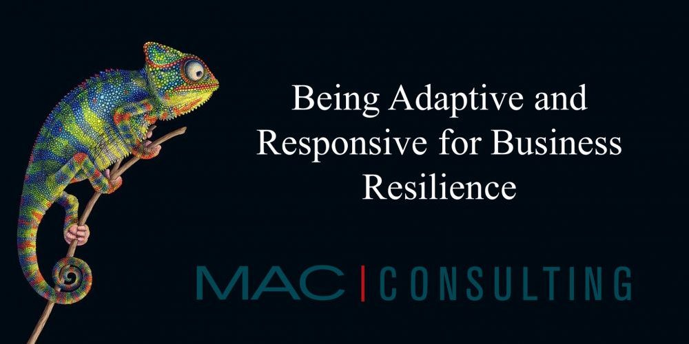 Part 1 of 3: Being adaptive and responsive for business resilience