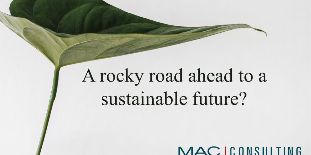 A rocky road ahead to a sustainable future?