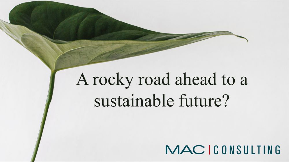 A rocky road ahead to a sustainable future?